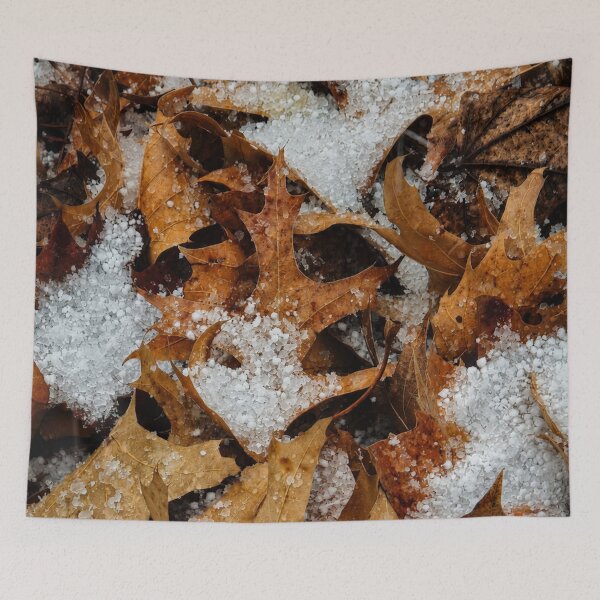 Item preview, Graupel Snow on Autumn Brown Leaves Photo designed and sold by NikaNavi.