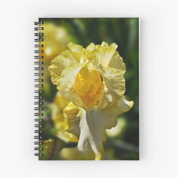 Item preview, Golden Ruffled Iris Flower Photo designed and sold by NikaNavi.
