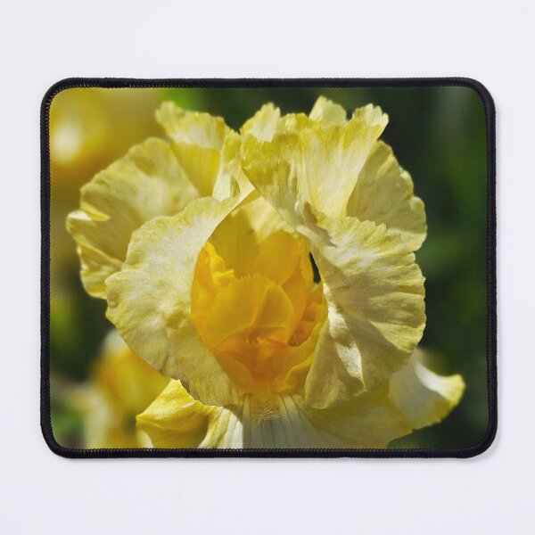 Item preview, Golden Ruffled Iris Flower Photo designed and sold by NikaNavi.