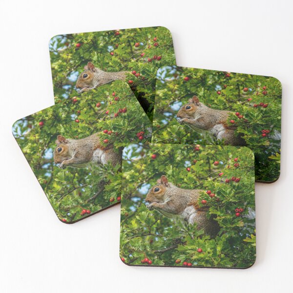 Item preview, Squirrel amongst berries and leaves designed and sold by Astute-Artio-Photography.