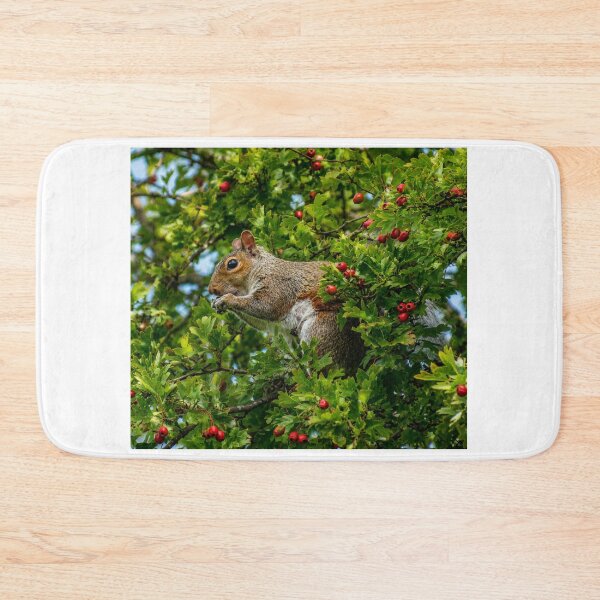 Artikelvorschau, Eichhörnchen zwischen Beeren und Blättern entworfen und verkauft von Astute-Artio-Photography.