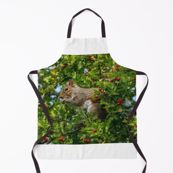 Item preview, Squirrel amongst berries and leaves designed and sold by Astute-Artio-Photography.