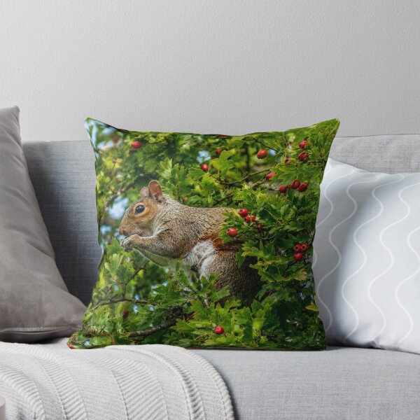 Item preview, Squirrel amongst berries and leaves designed and sold by Astute-Artio-Photography.