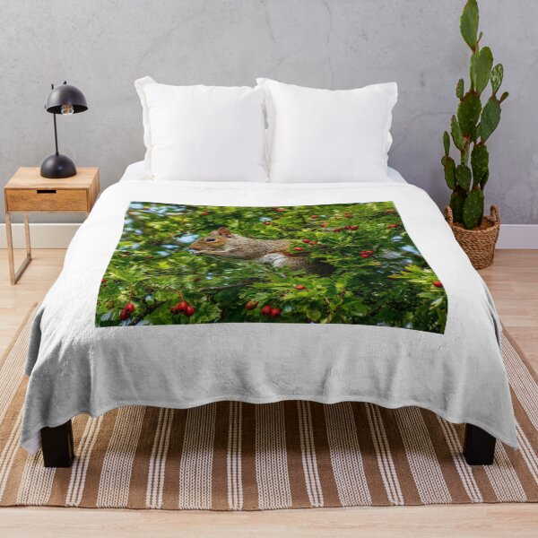 Item preview, Squirrel amongst berries and leaves designed and sold by Astute-Artio-Photography.