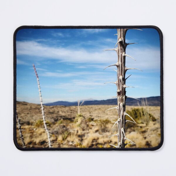 Item preview, Southwest Ocotillo designed and sold by mountaingoblingoods.