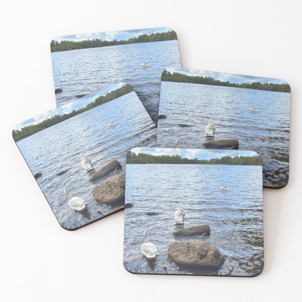 Item preview, Mute Swans on Bolam Lake in Northumberland designed and sold by Violaman.