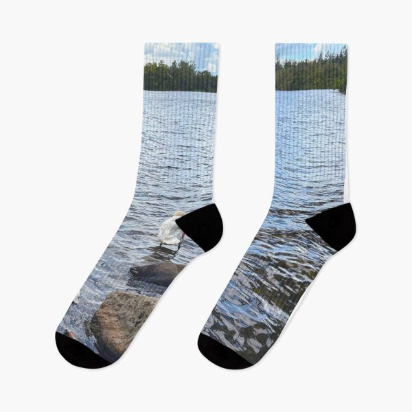 Item preview, Mute Swans on Bolam Lake in Northumberland designed and sold by Violaman.