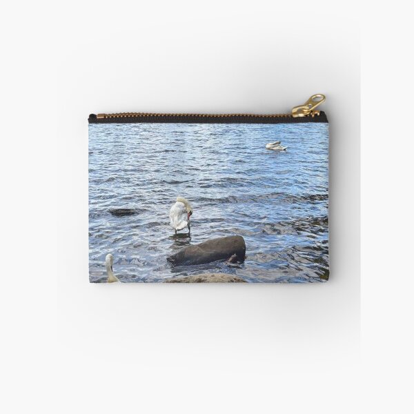Item preview, Mute Swans on Bolam Lake in Northumberland designed and sold by Violaman.