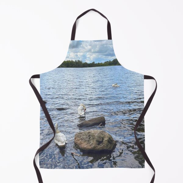 Item preview, Mute Swans on Bolam Lake in Northumberland designed and sold by Violaman.