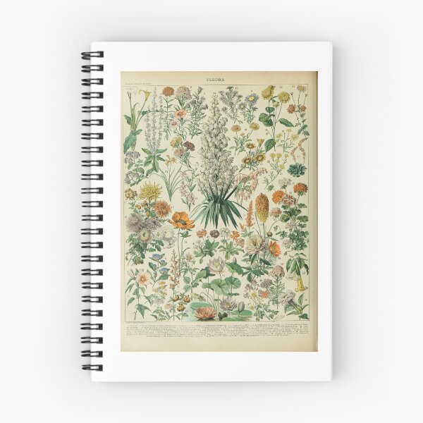Item preview, Antique French Flora Adolphe Millot designed and sold by TeeARTHY.