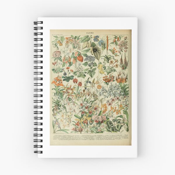 Item preview, Antique Botanical Print Adolphe Millot designed and sold by TeeARTHY.
