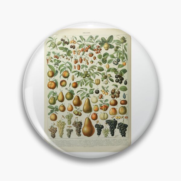 Item preview, Vintage Fruit Poster Adolphe Millot designed and sold by TeeARTHY.