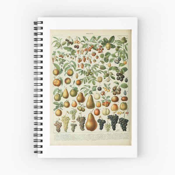 Item preview, Vintage Fruit Poster Adolphe Millot designed and sold by TeeARTHY.
