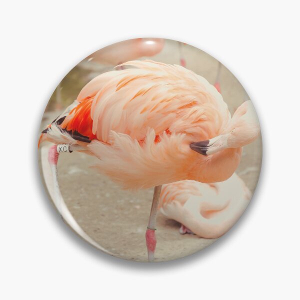 Item preview, Dancing Flamingo designed and sold by Debra Cox.