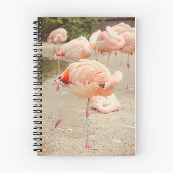 Item preview, Dancing Flamingo designed and sold by Debra Cox.