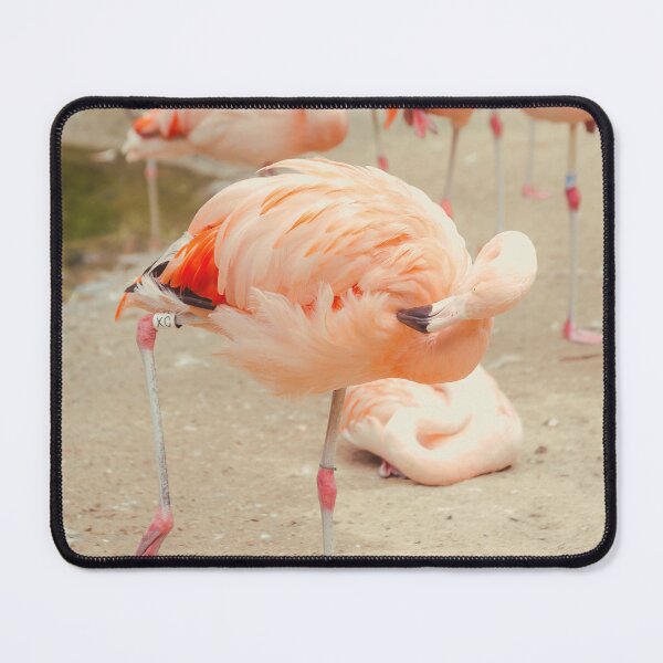 Item preview, Dancing Flamingo designed and sold by Debra Cox.