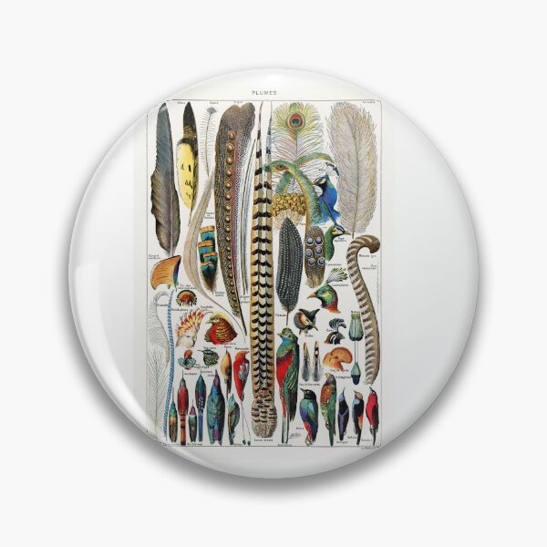 Item preview,  Vintage Feather Chart Adolphe Millot designed and sold by TeeARTHY.