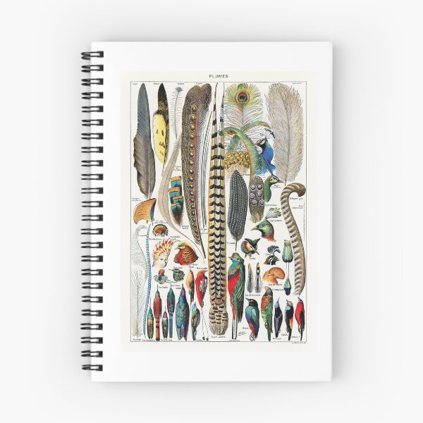 Item preview,  Vintage Feather Chart Adolphe Millot designed and sold by TeeARTHY.