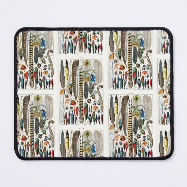 Item preview, Vintage Feather Chart Adolphe Millot designed and sold by TeeARTHY.