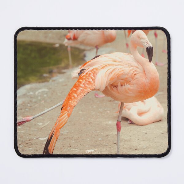 Item preview, Elegant Flamingo designed and sold by Debra Cox.