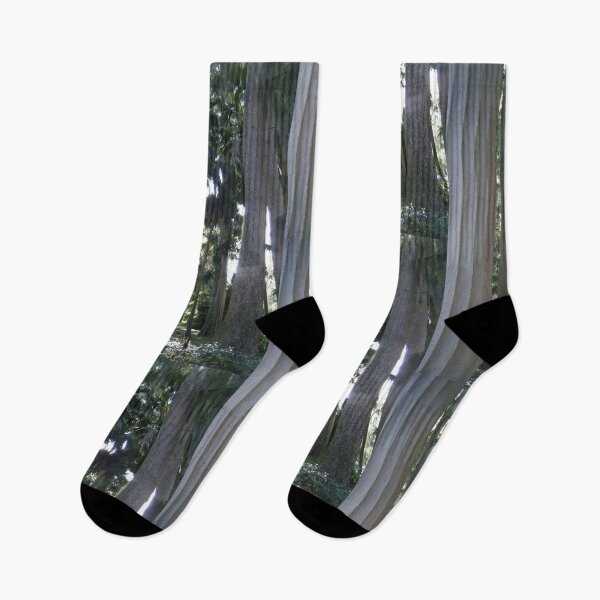 Item preview, Tropical Palms and Classical Column Architecture Art Print designed and sold by KaleChub.
