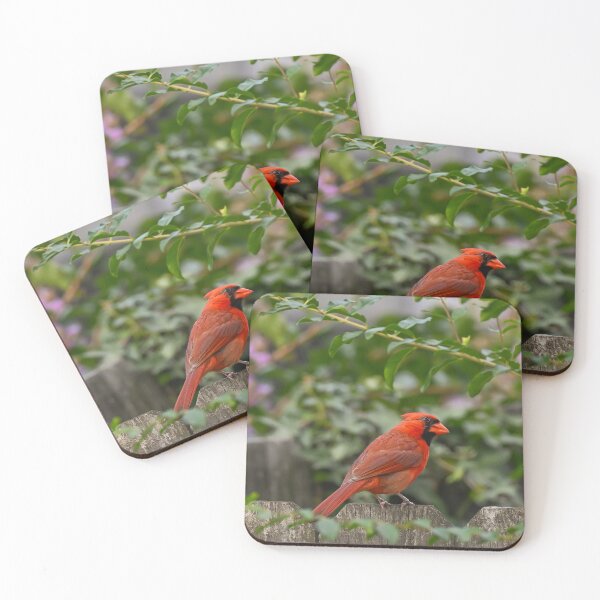 Item preview, Cardinal designed and sold by emilyxneill.