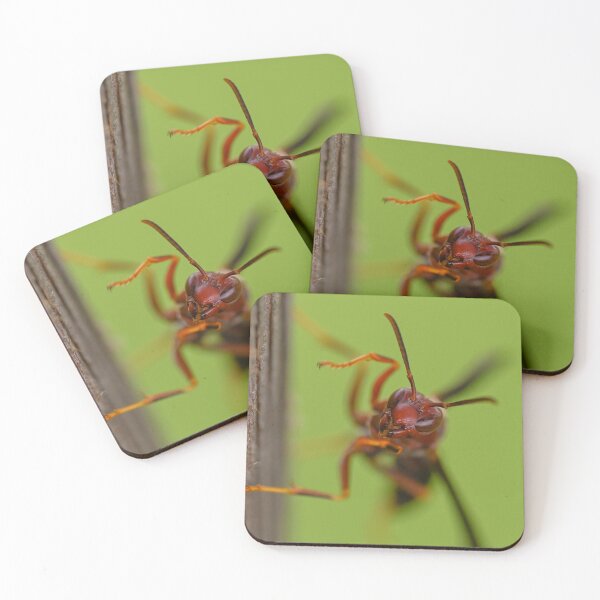 Item preview, Wasp designed and sold by emilyxneill.