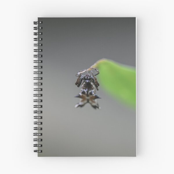 Item preview, Spider designed and sold by emilyxneill.