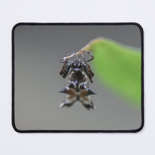 Item preview, Spider designed and sold by emilyxneill.
