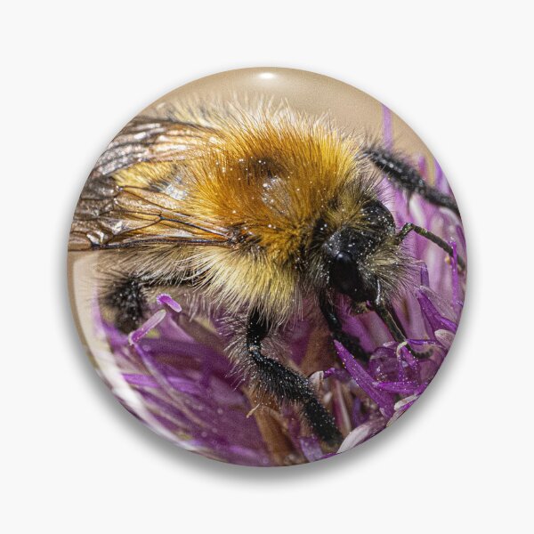 Item preview, Bee on a flower designed and sold by kathleenjean.