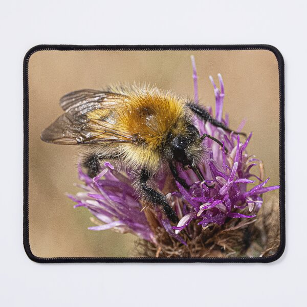 Item preview, Bee on a flower designed and sold by kathleenjean.