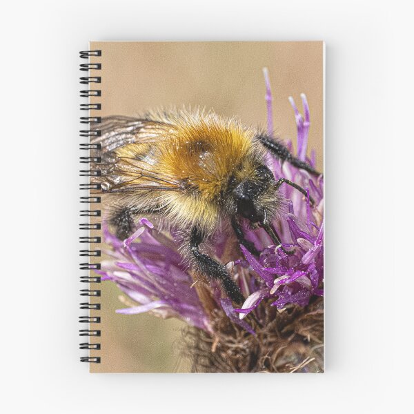 Item preview, Bee on a flower designed and sold by kathleenjean.