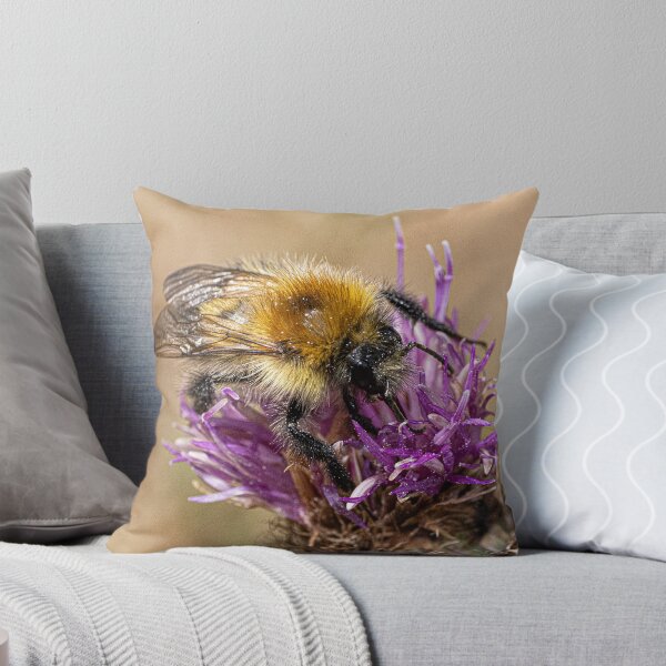 Item preview, Bee on a flower designed and sold by kathleenjean.