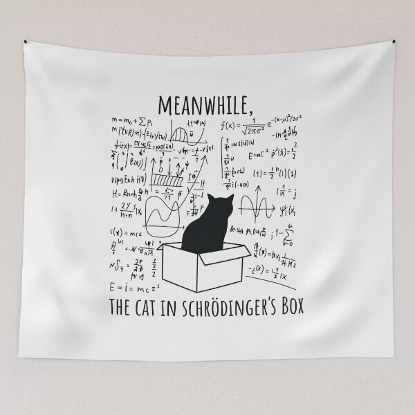 Item preview, Meanwhile The Cat In Schrodingers Box Physics Meme designed and sold by Krasnovaovaova.