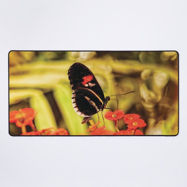 Item preview, The Fascinating Doris Longwing Butterfly designed and sold by Kay Brewer.