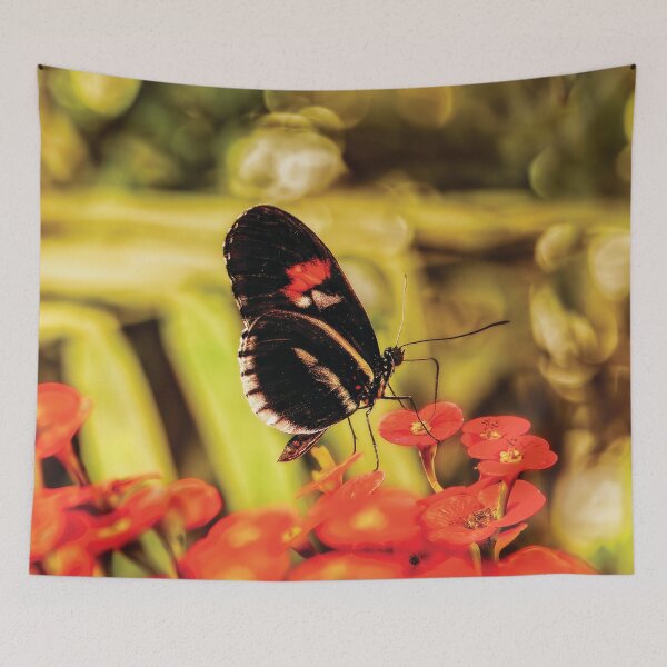 Item preview, The Fascinating Doris Longwing Butterfly designed and sold by Kay Brewer.