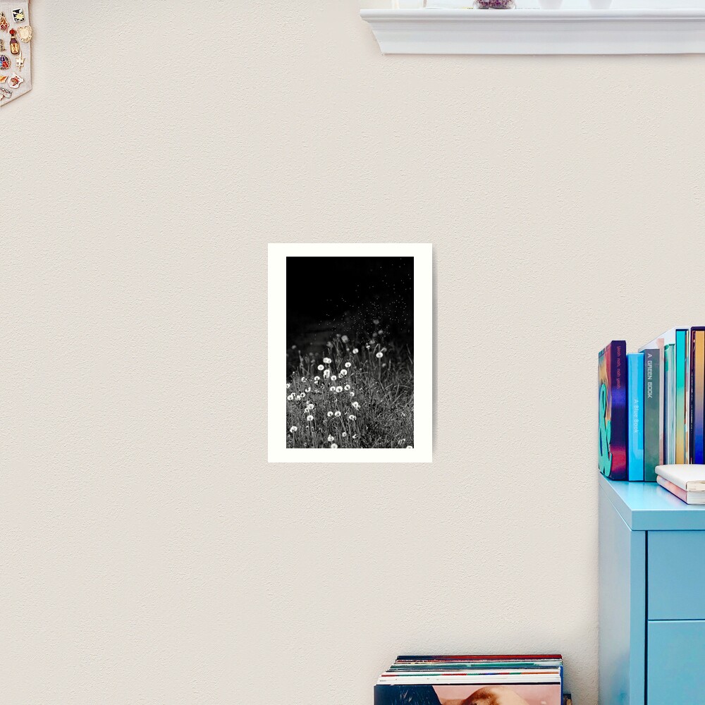 Dandelions in black&white Art Print