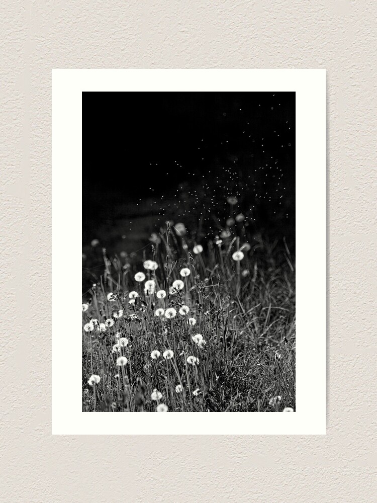 Alternate view of Dandelions in black&white Art Print