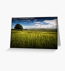 Dirleton tree Greeting Card