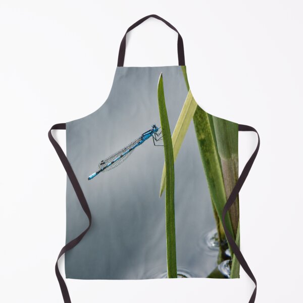 Item preview, Azure Damselfly on reeds designed and sold by Astute-Artio-Photography.