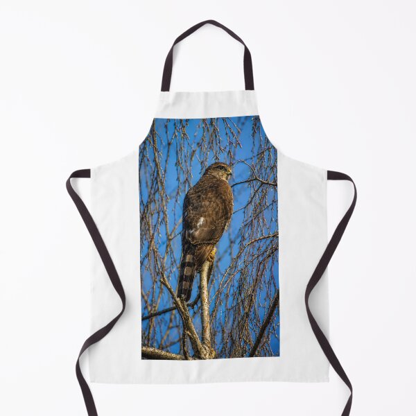 Item preview, Hawk perched in lifeless tree designed and sold by Astute-Artio-Photography.
