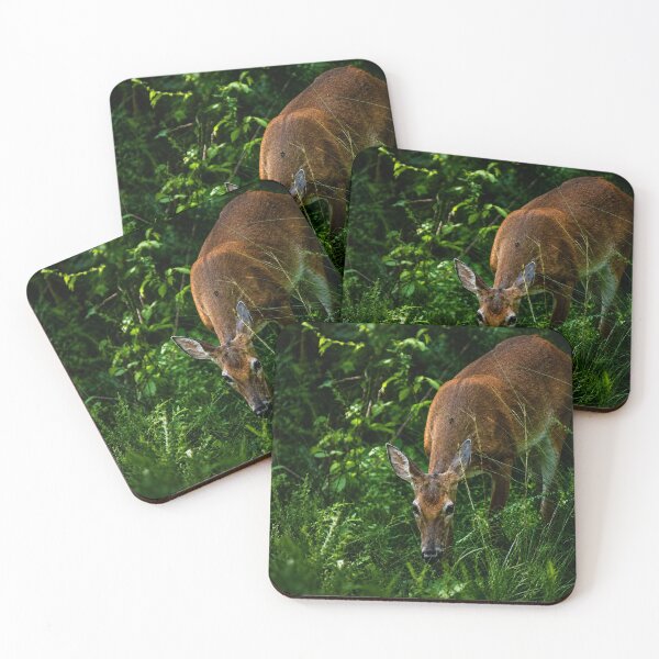 Item preview, Graceful Deer grazing in a lush green meadow designed and sold by Astute-Artio-Photography.