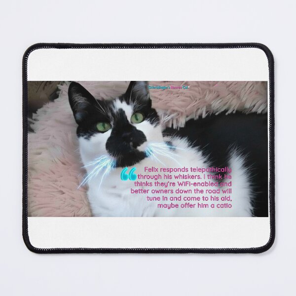 Item preview, Schrodinger's Rescue Cat quotes designed and sold by RESCUECAT.