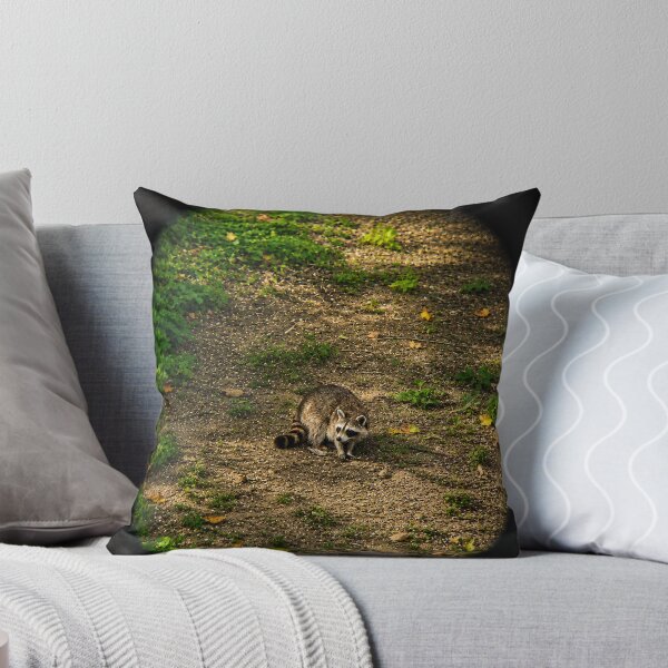 Item preview, Raccoon through a lens designed and sold by Astute-Artio-Photography.
