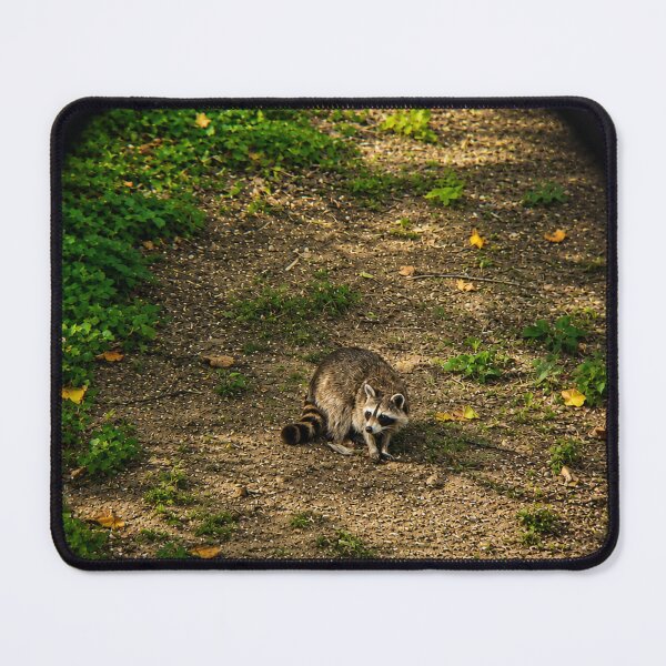 Item preview, Raccoon through a lens designed and sold by Astute-Artio-Photography.