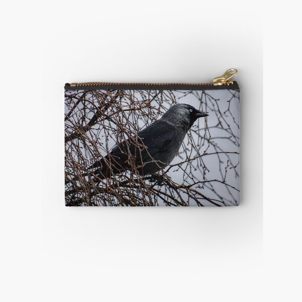 Item preview, Jackdaw perched on tangled branches designed and sold by Astute-Artio-Photography.