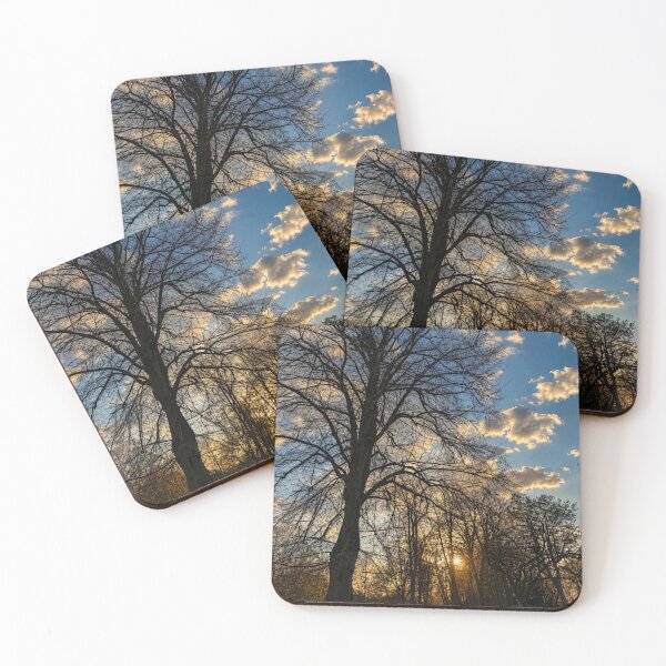 Item preview, Winter path in evening sun designed and sold by Astute-Artio-Photography.