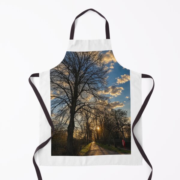 Item preview, Winter path in evening sun designed and sold by Astute-Artio-Photography.