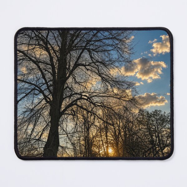 Item preview, Winter path in evening sun designed and sold by Astute-Artio-Photography.