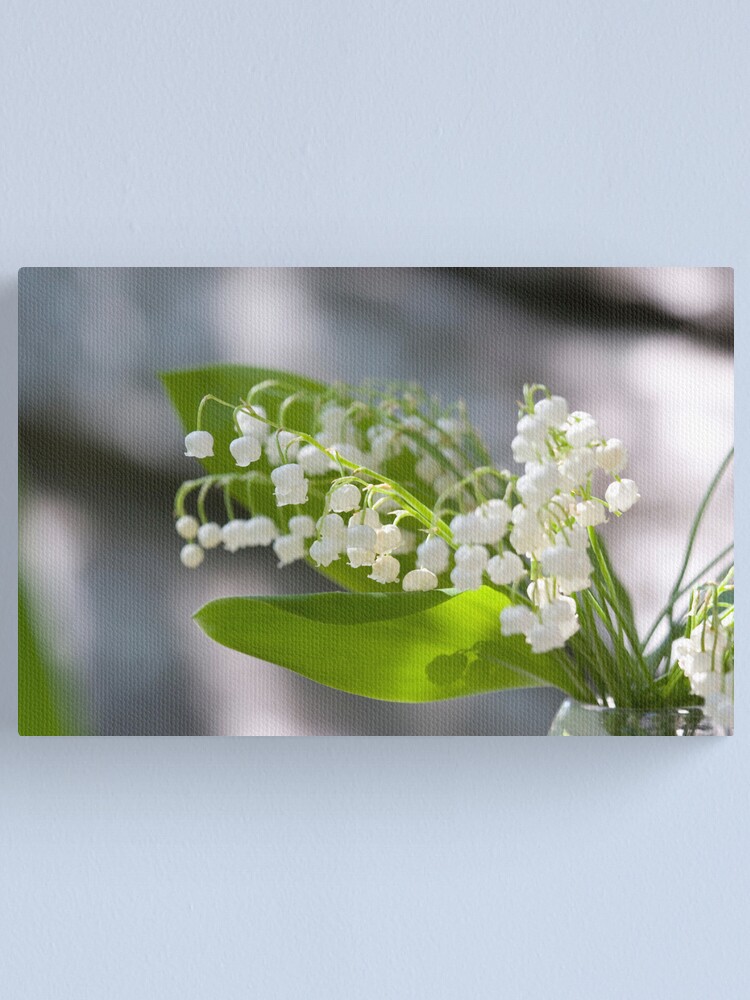 Alternate view of Lily of the valley Canvas Print